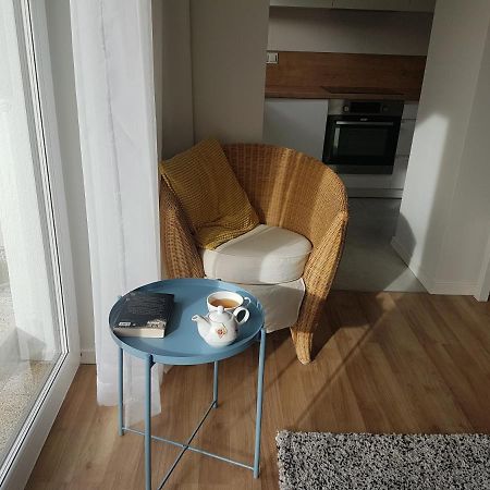 Apartament Jasinskiego Z Ogrodem Piaseczno  Exterior photo